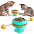 Traine de puzzle interactive pour animaux de compagnie pour animaux de compagnie pour les chats